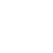 car icon